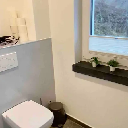 3 Ommi Kese Garden Terrasse Fasssauna Am Biggesee Apartment Olpe