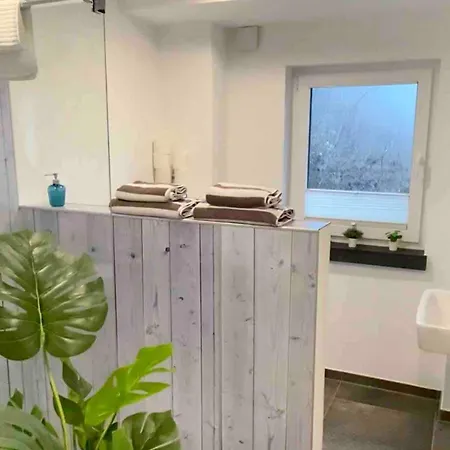 Apartmán 3 Ommi Kese Garden Terrasse Fasssauna Am Biggesee