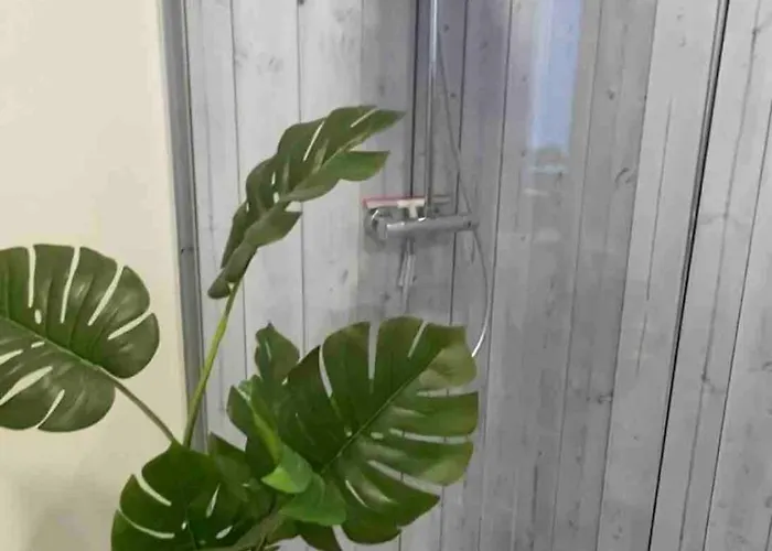 3 Ommi Kese Garden Terrasse Fasssauna Am Biggesee Lejlighed *