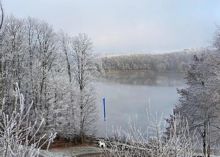 3 Ommi Kese Garden Terrasse Fasssauna Am Biggesee Lejlighed *