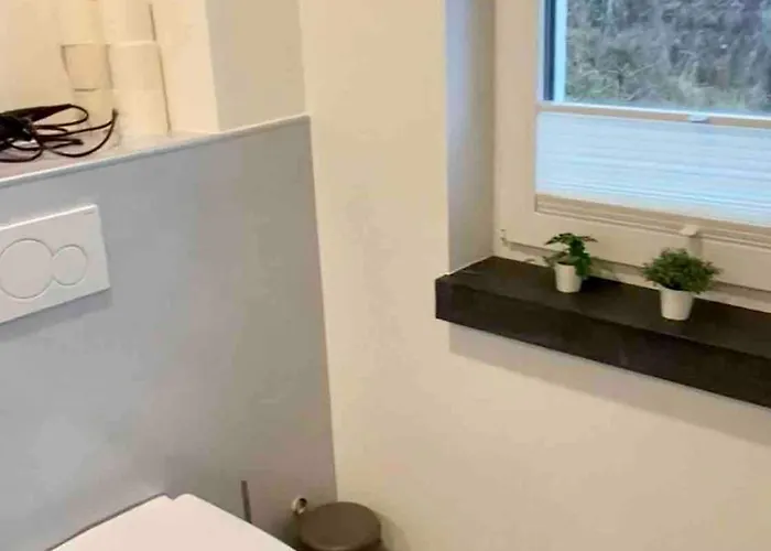 3 Ommi Kese Garden Terrasse Fasssauna Am Biggesee Lejlighed Olpe bei Meschede